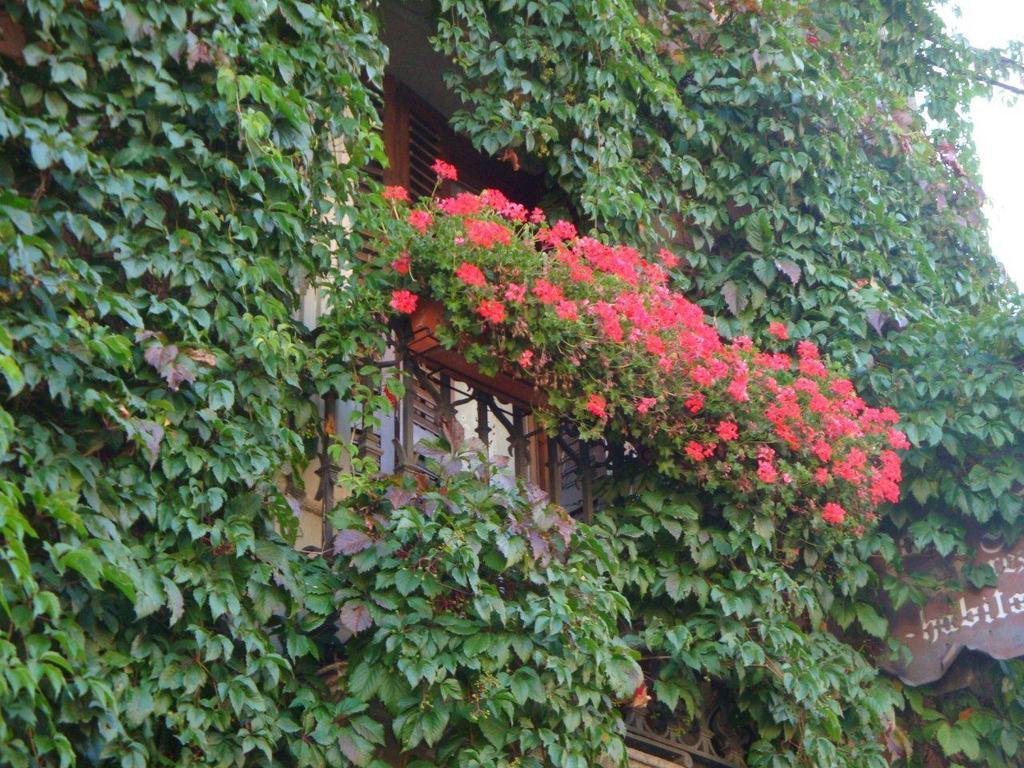Hotel Casa Frauca ซาร์บีเซ ภายนอก รูปภาพ